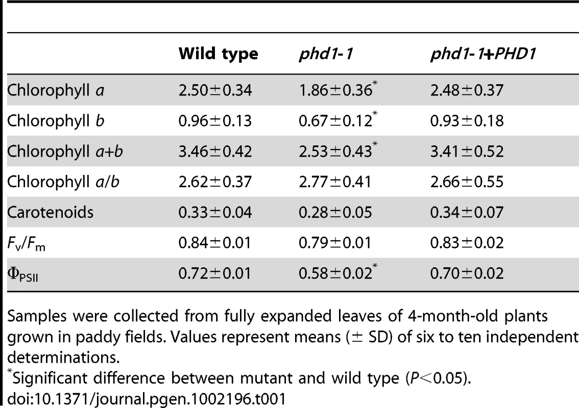 Pigment contents (mg·g<sup>−1</sup> fresh weight) and photosynthetic parameters of wild type, <i>phd1</i>-<i>1</i>, and <i>PHD1</i>-complemented plants.