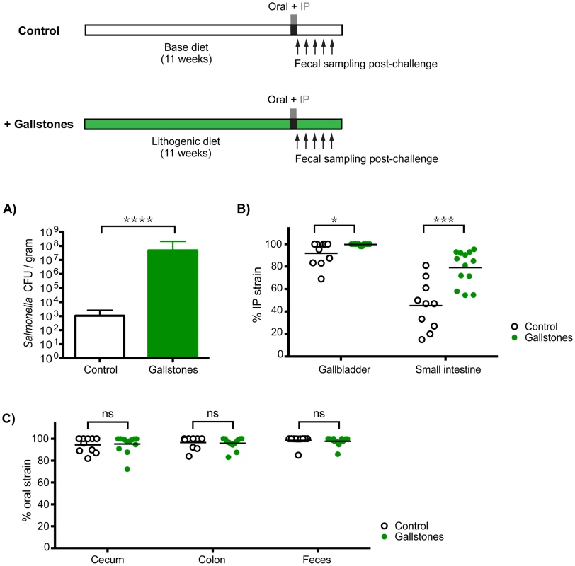 Gallstone-induced increases in systemic reseeding <i>Salmonella</i> are insufficient to displace the established population in the cecum and colon.