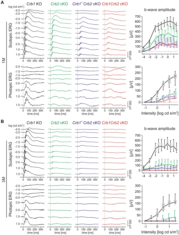 Retinal function in <i>Crb1Crb2</i> mutant retinas is severely impaired.