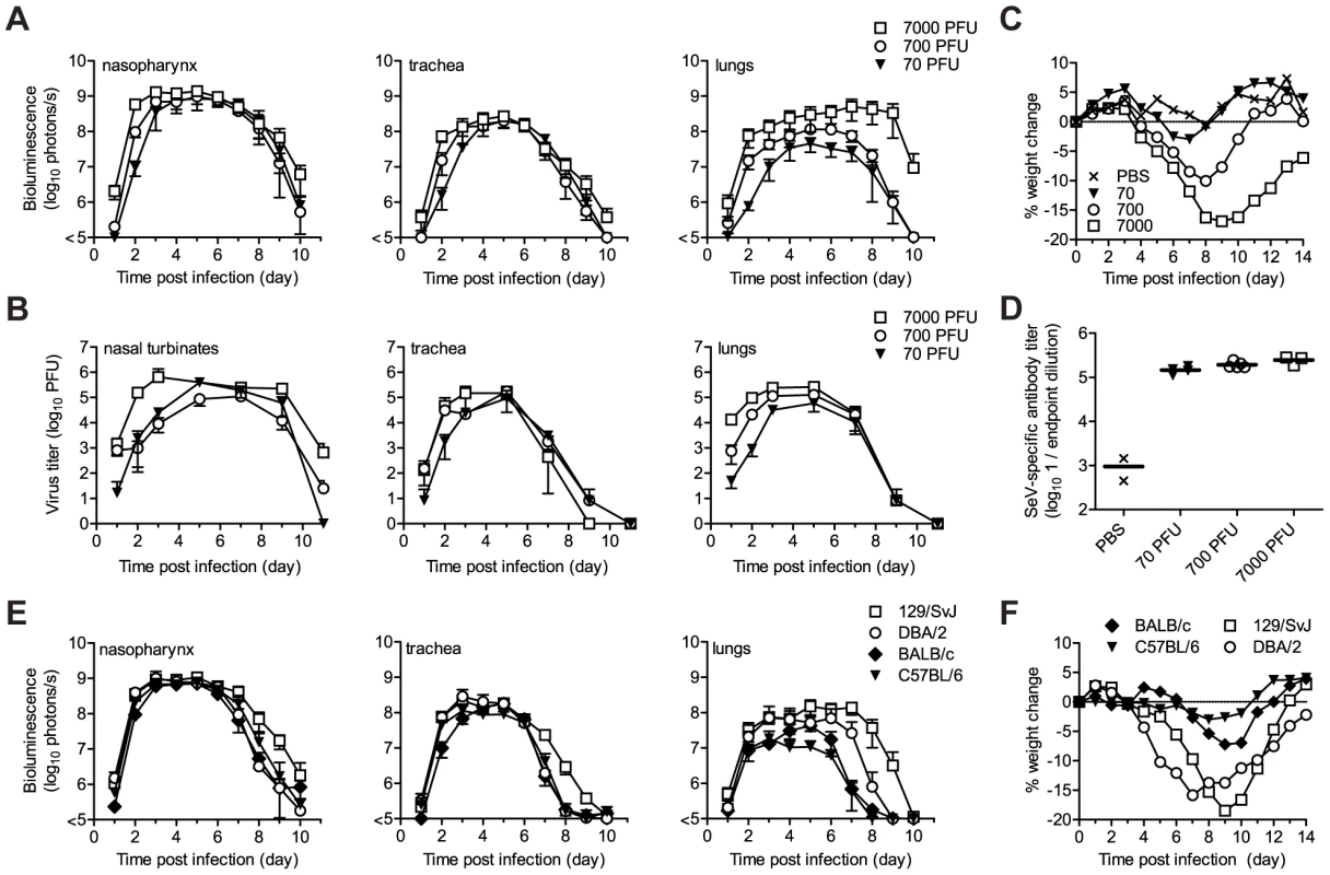 Virus replication and pathogenesis as a function of virus dose and mouse strain.