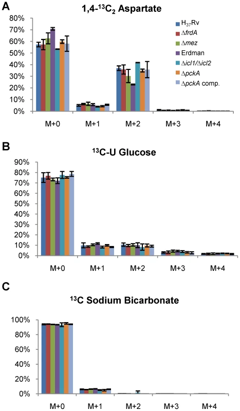 The mass isotopomer ratios of succinate in supernatant of knock out mutant strains labeling with <sup>13</sup>C isotopic substrates.