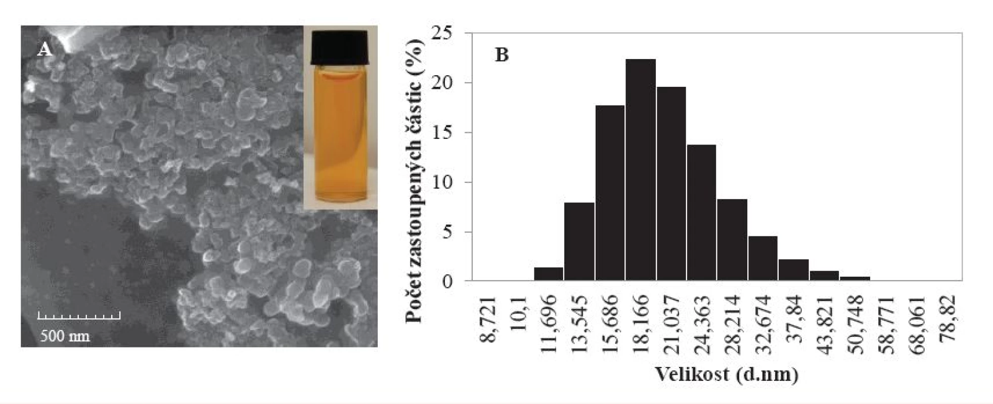 Charakterizace komplexu selenových nanočástic s Cekolem: A – obrázek ze skenovacího elektronového mikroskopu: SEM HV: 15,00 kV; View field: 2,167 μm; SEM MAG: 100,00 kx; WD: 4,945 mm; Det: InBeam; Date (m/d/y): 09/23/15; B – fotografie komplexu ve viditelném světle ve vodném roztoku; C – zastoupení jednotlivých typů částic technikou Zetasizer (více podrobností je diskutováno v práci (13))