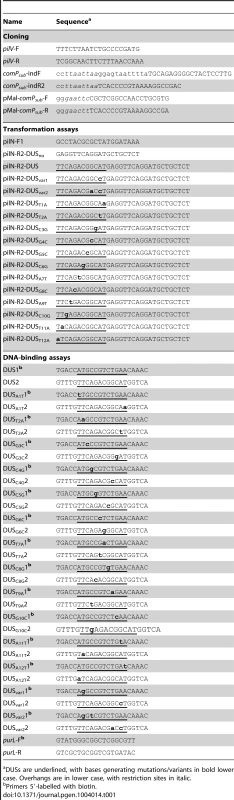Primers used in this study.