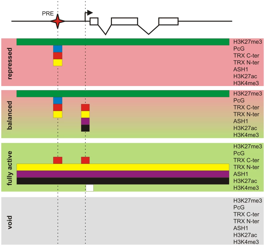 Protein landscapes of alternative chromatin states.