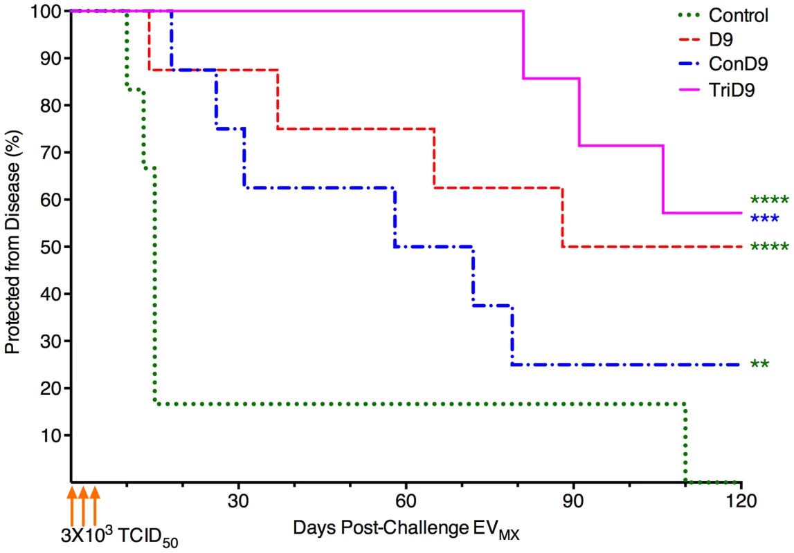 Protection from disease is associated with complexity of immunogen.