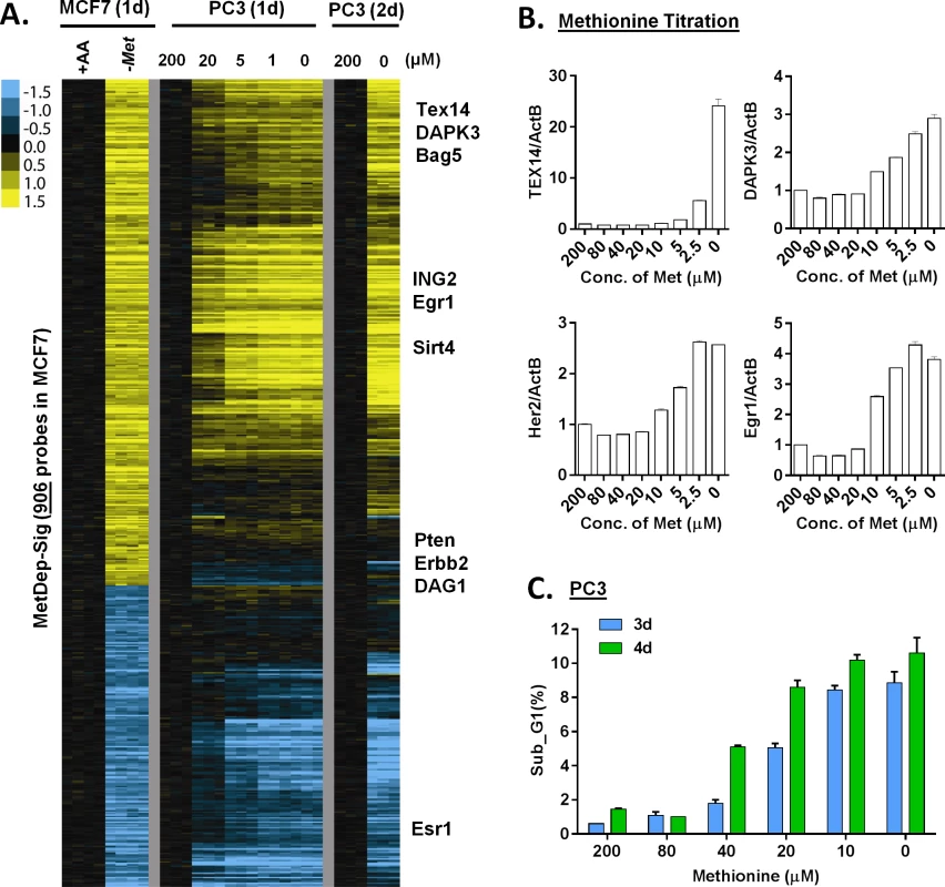 The transcriptional response of methionine deprivation between breast and prostate cancer cells.