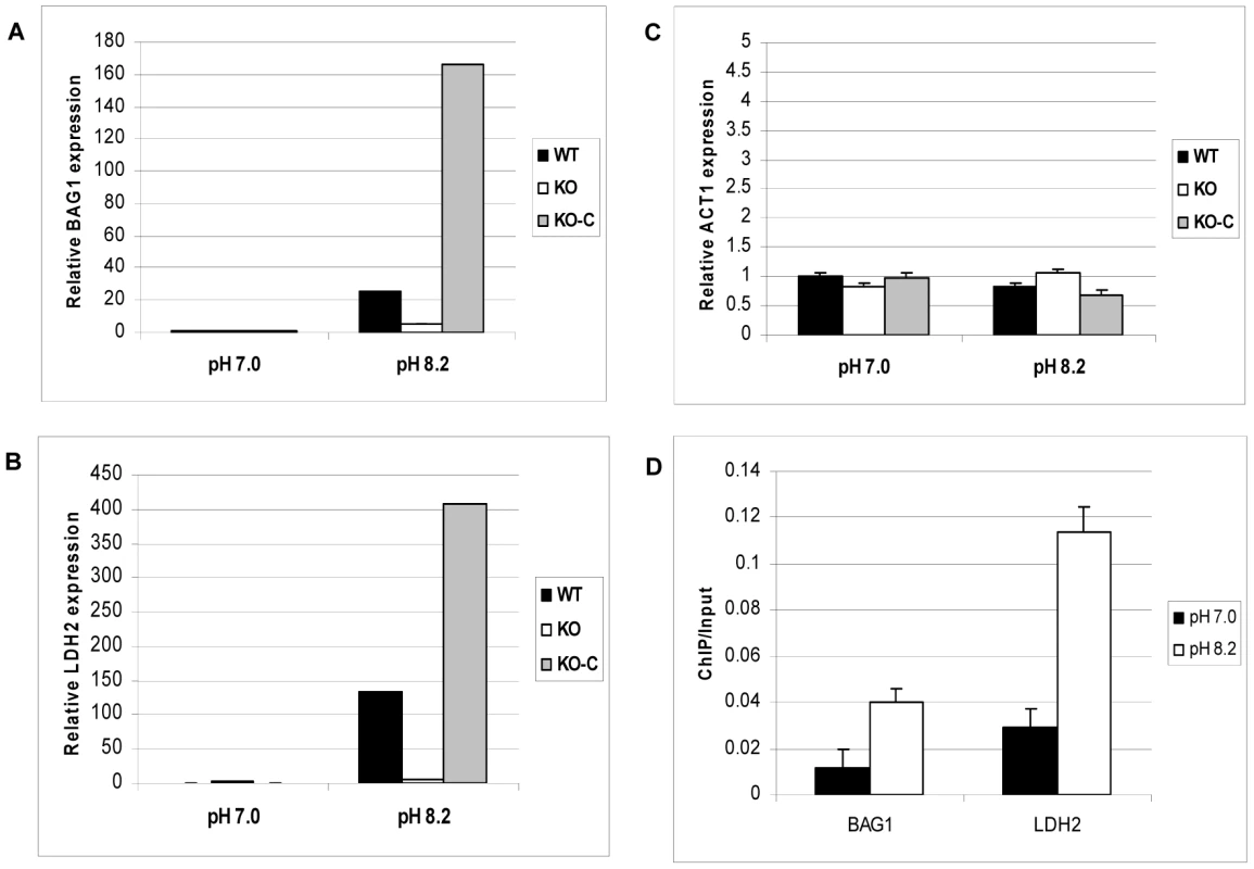 ΔGCN5-A parasites fail to up-regulate developmental genes in response to alkaline pH.