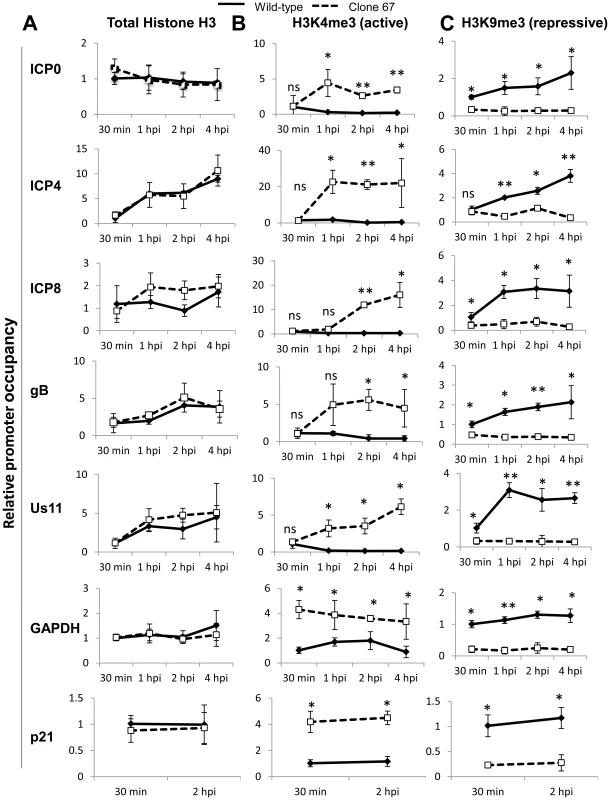 IFI16 induces changes in histone modifications at HSV-1 promoters.