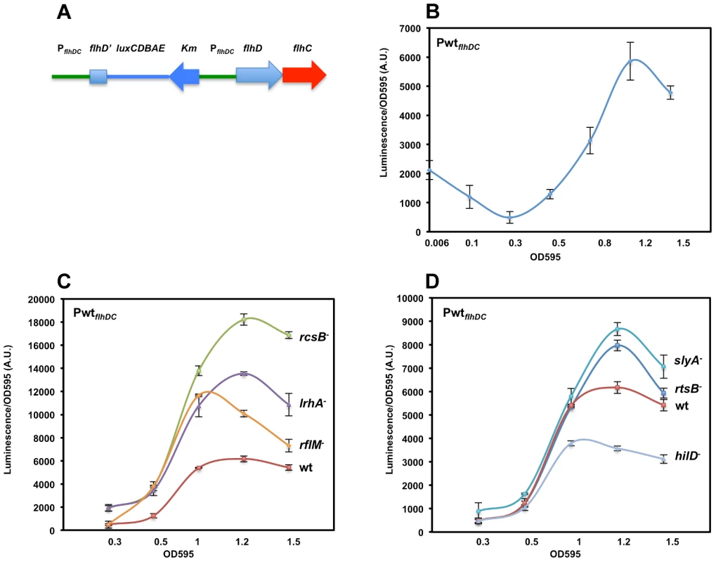 Growth phase dependent transcription of the <i>flhDC</i> operon promoter in <i>Salmonella enterica</i> serovar Typhimurium is controlled by LrhA, RcsB, RflM, HilD, SlyA and RtsB.