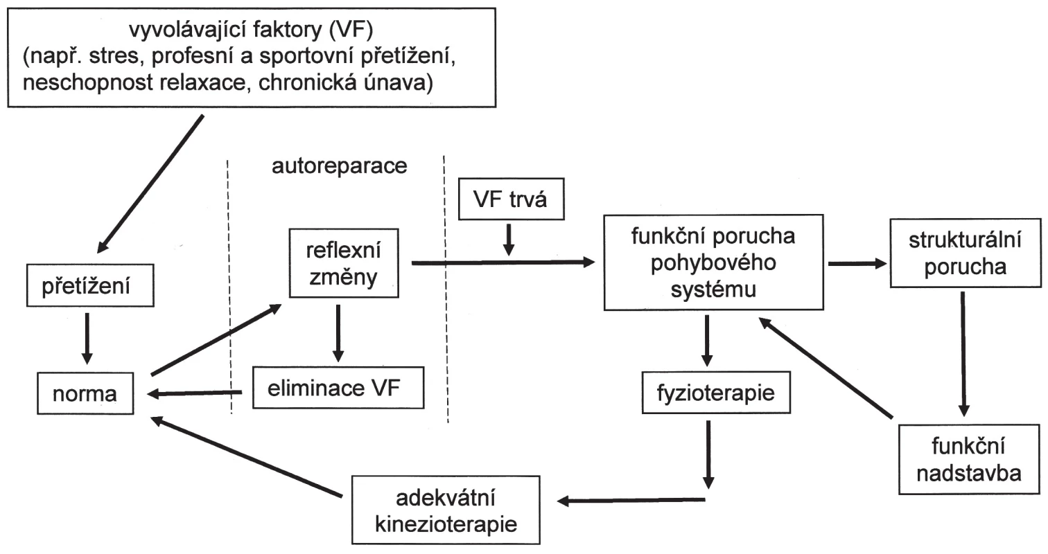 Vznik funkčních poruch pohybového systému