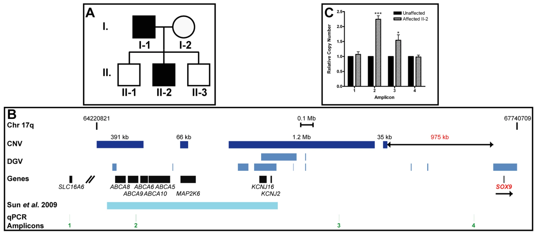 Copy number variations upstream of <i>SOX9</i> associated with hypertrichosis.