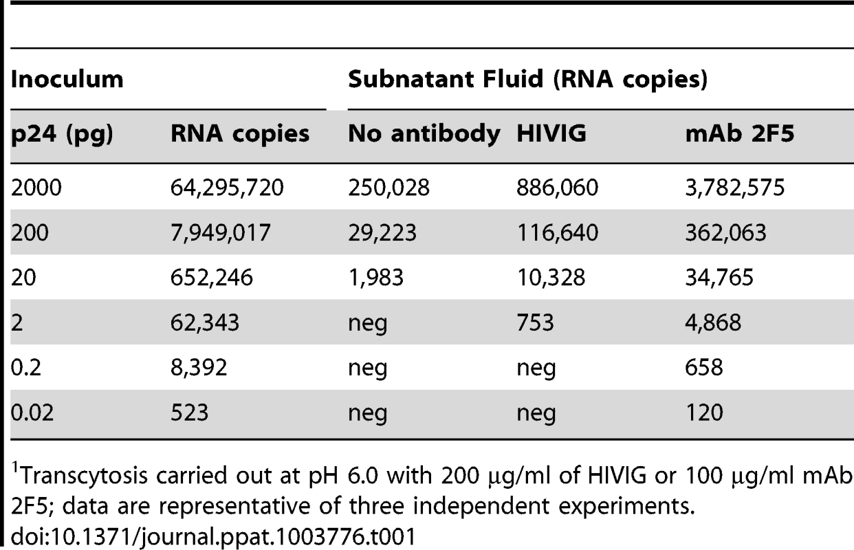 Enhancement of HIV-1 transcytosis occurs with low viral inocula<em class="ref">1</em>.
