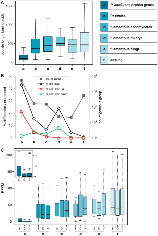 Lineage-specific peptide lengths and gene expression.