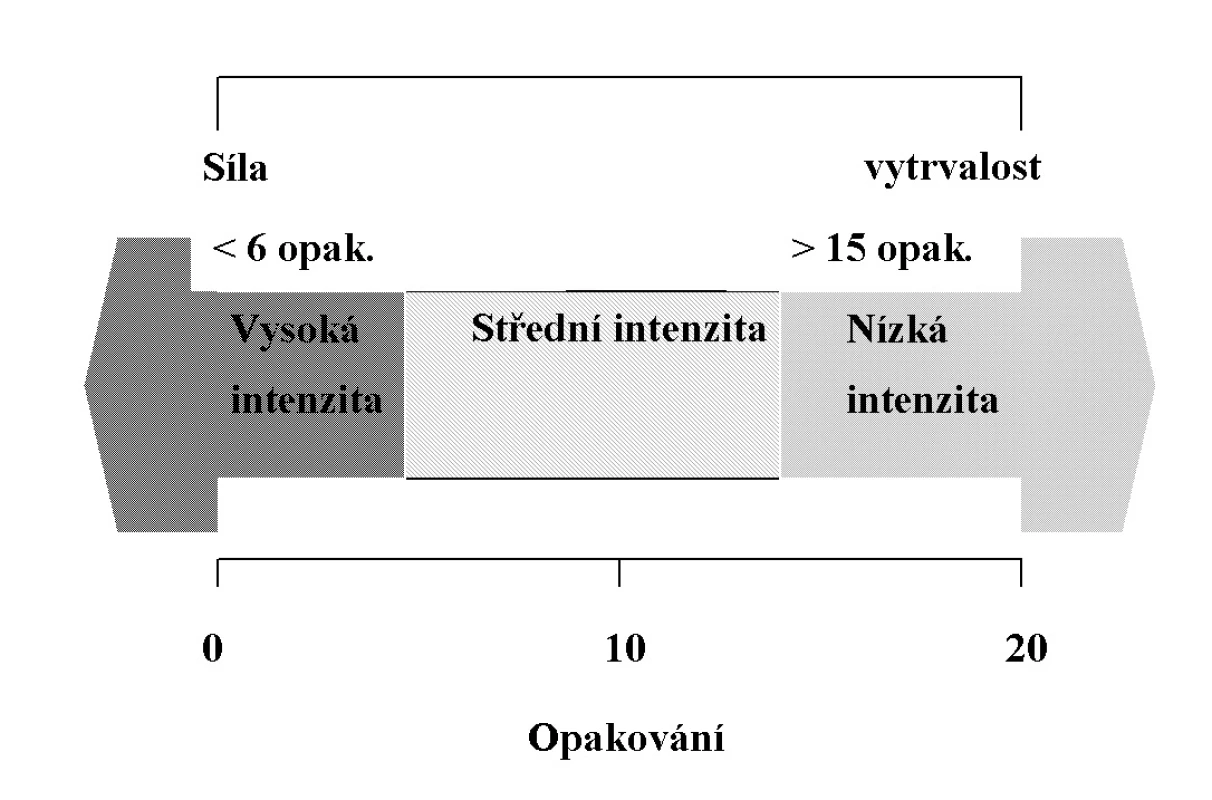 Klasifikace posilovacího tréninku ve vztahu k intenzitě zátěže.