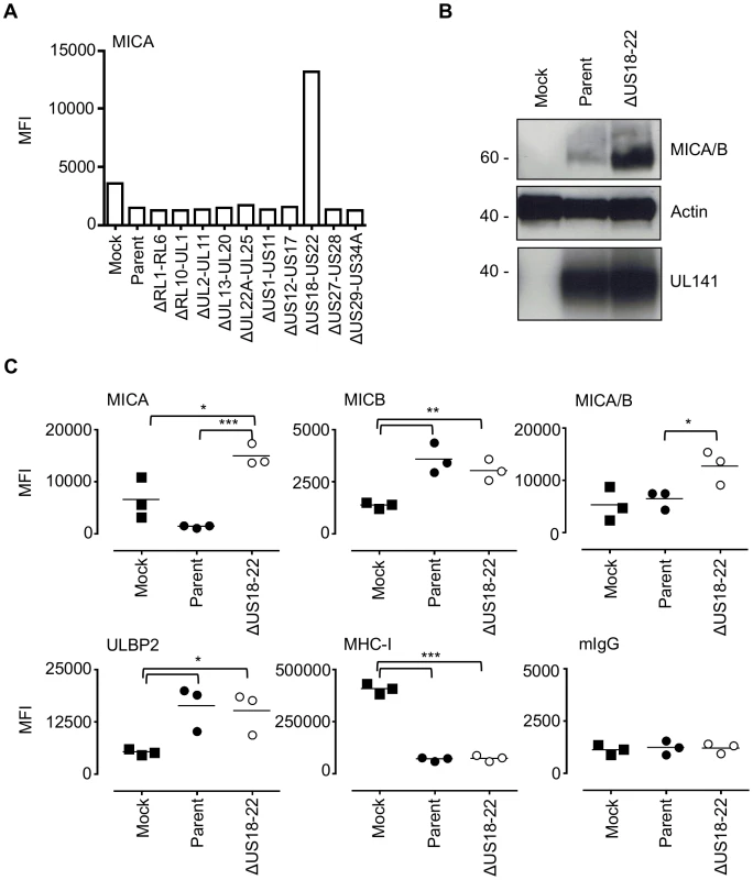 The HCMV gene function targeting MICA maps to the US18–22 gene locus.