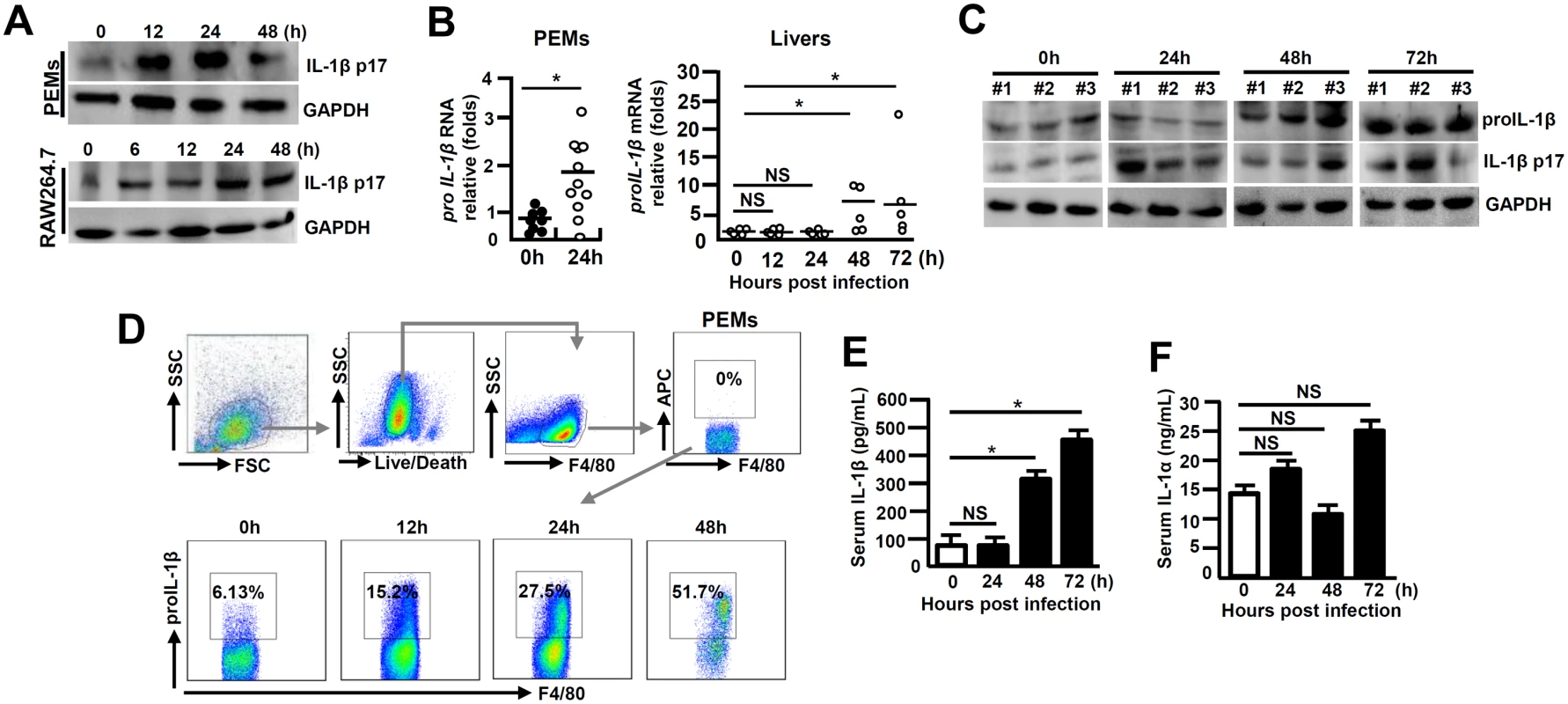 Augmented IL-1β expression during viral FH.