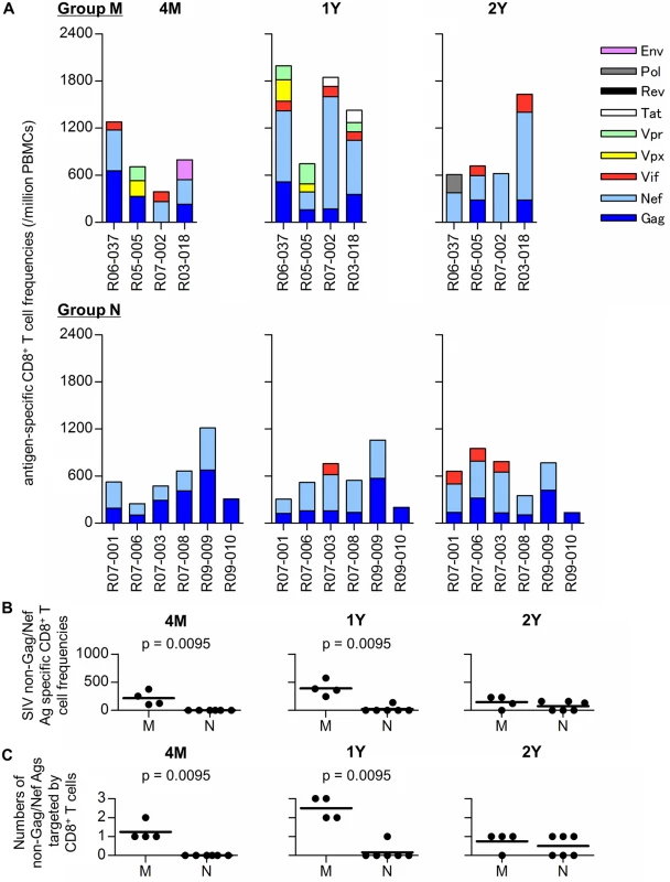 SIV antigen-specific CD8<sup>+</sup> T-cell responses in SIV controllers.