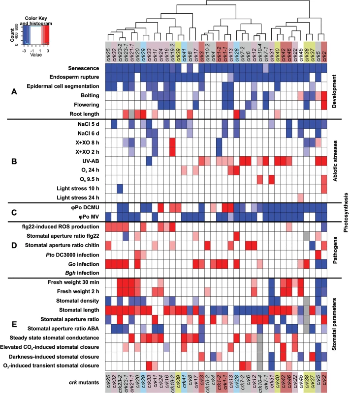 Integrated cluster analysis of <i>crk</i> mutant phenotypes.