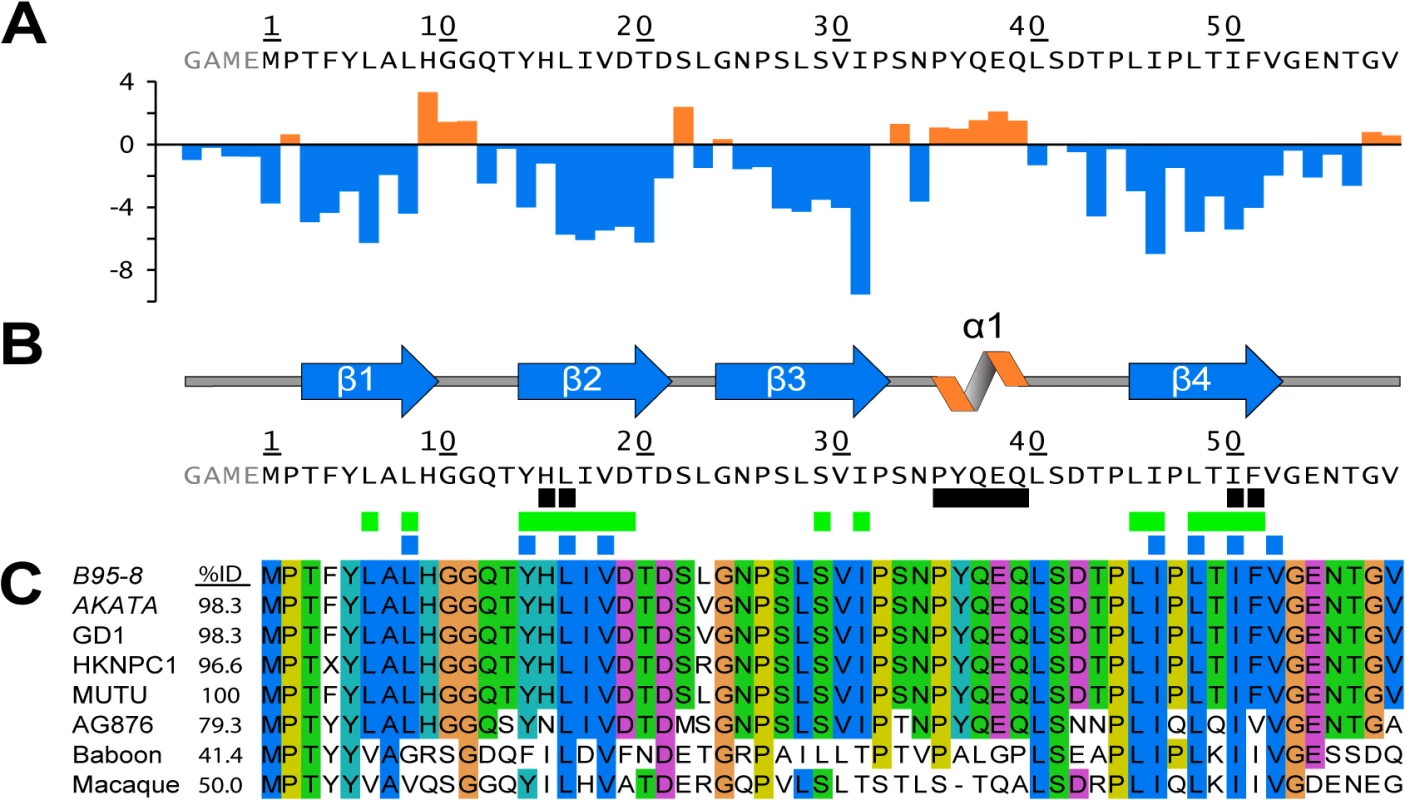 Secondary structure topology of the END domain and sequence alignment.