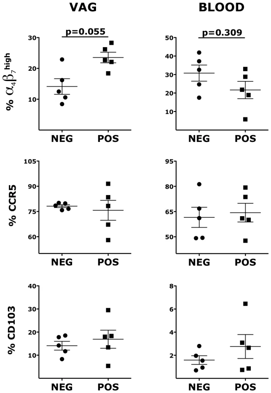 HSV-2 vaginal infection modulates integrin α<sub>4</sub>β<sub>7</sub> on CD4<sup>+</sup> T cells.