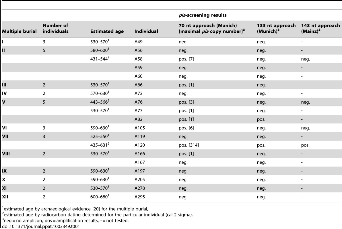 Individuals from the Early Medieval Cemetery Aschheim-Bajuwarenring (Germany) that were analyzed in this study and corresponding results of screening for a portion of the <i>Y. pestis</i> specific <i>plasminogen activator gene</i> (<i>pla</i>).
