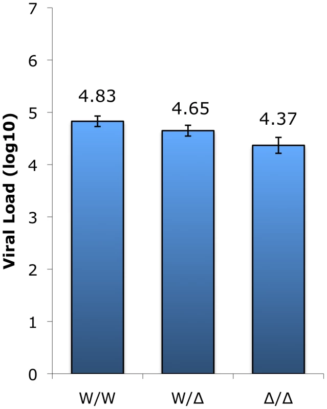 SIV plasma viral load measurements in infected sooty mangabeys between genotype groups.