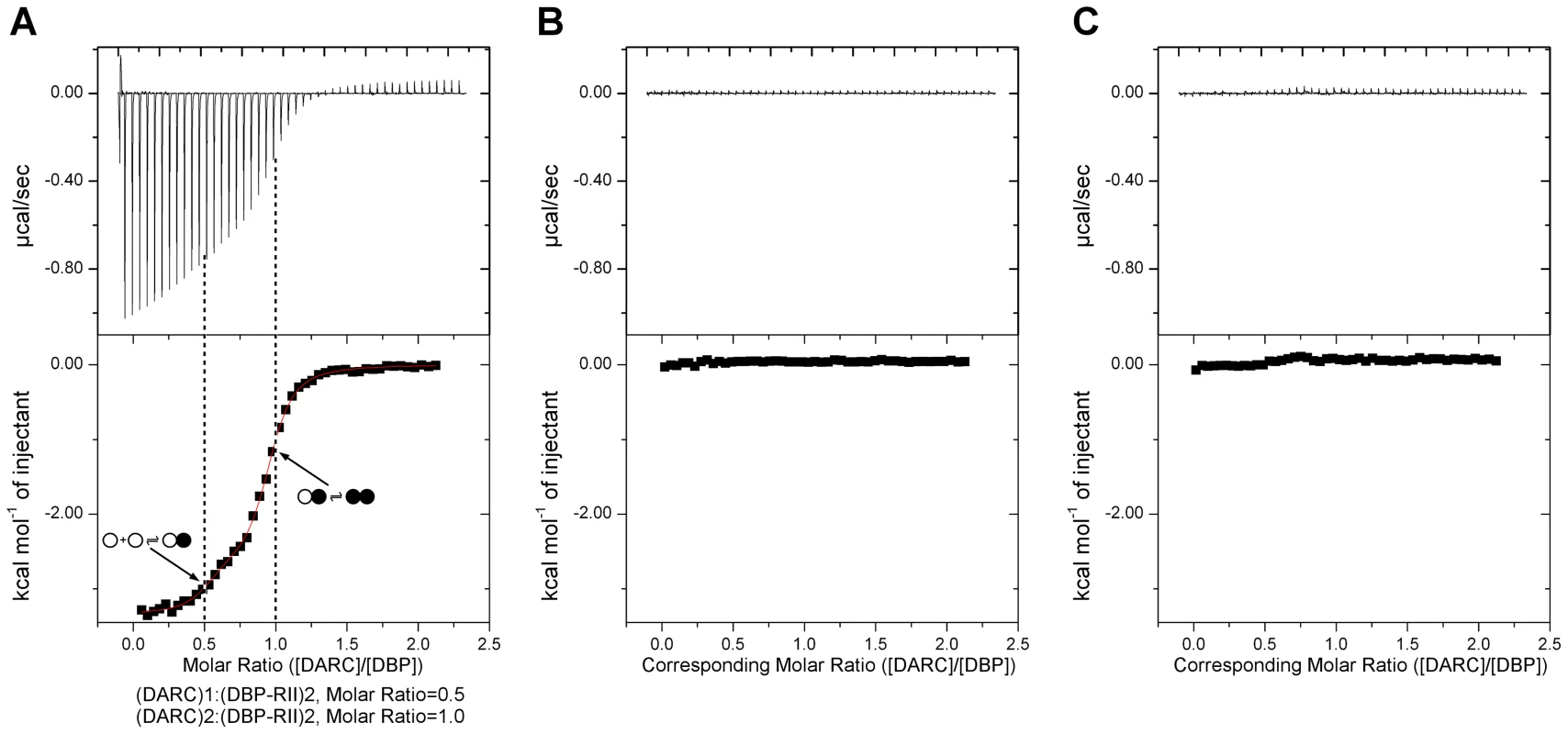 Isothermal titration calorimetry reveals step-wise binding of DARC to DBP-RII in solution.