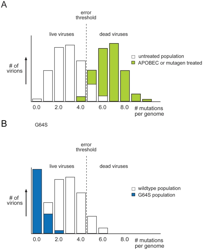 Mutant distributions and the error threshold.