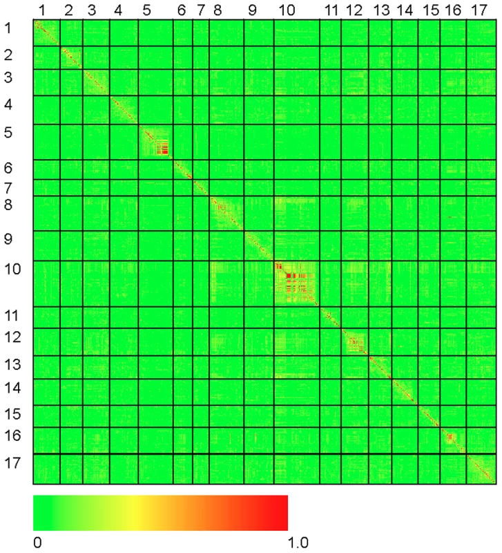 Heat map of linkage disequilibrium across the sunflower genome.