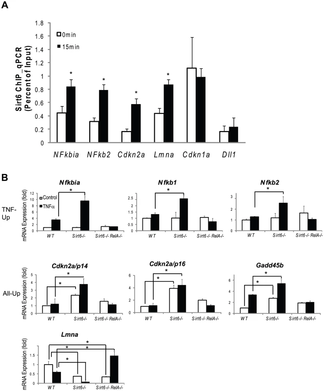 Validation of Chip-chip data and gene expression data.