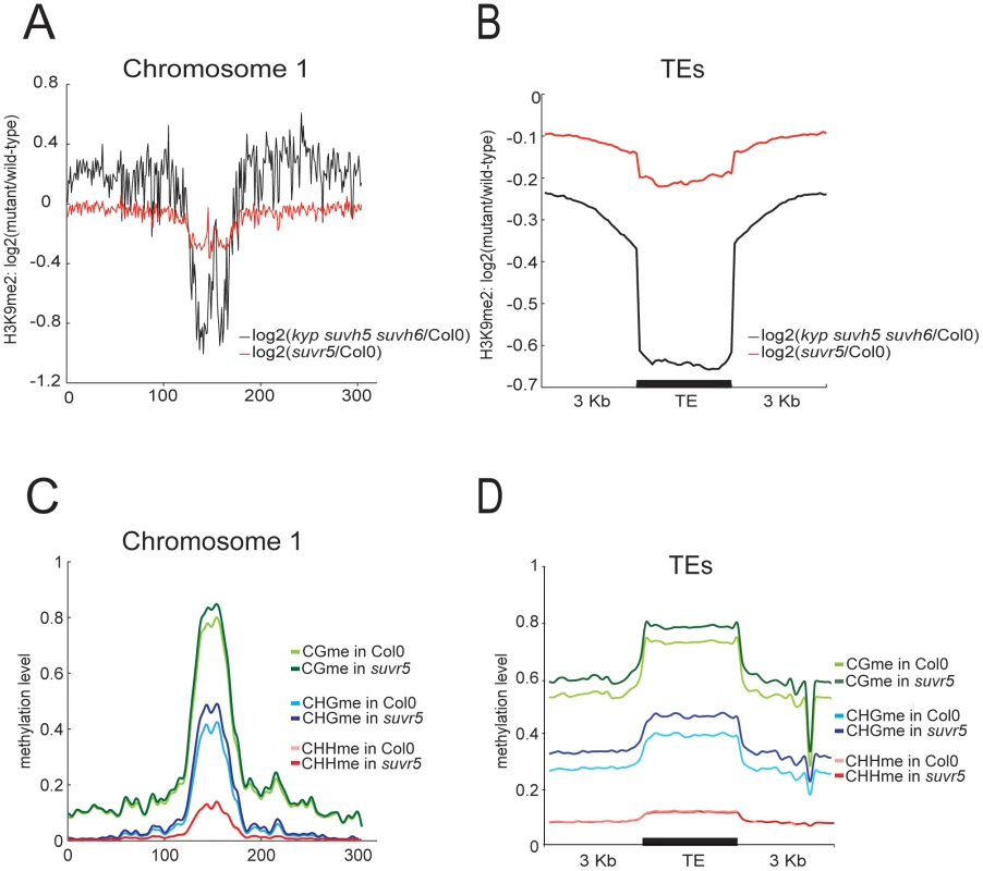 SUVR5 is redundant with KYP/SUVH5/SUVH6 in controlling H3K9me2 accumulation in heterochromatin.