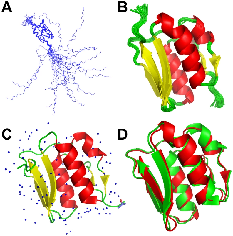 NMR and X-ray models of VirB7<sub>XAC2622</sub>.
