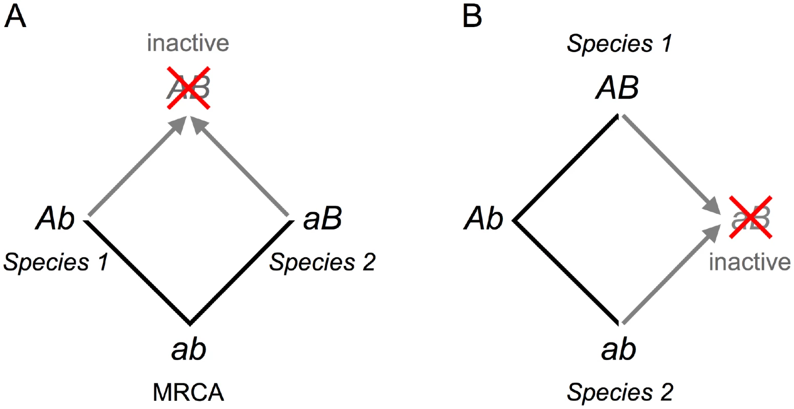 The evolution of cryptic epistasis.