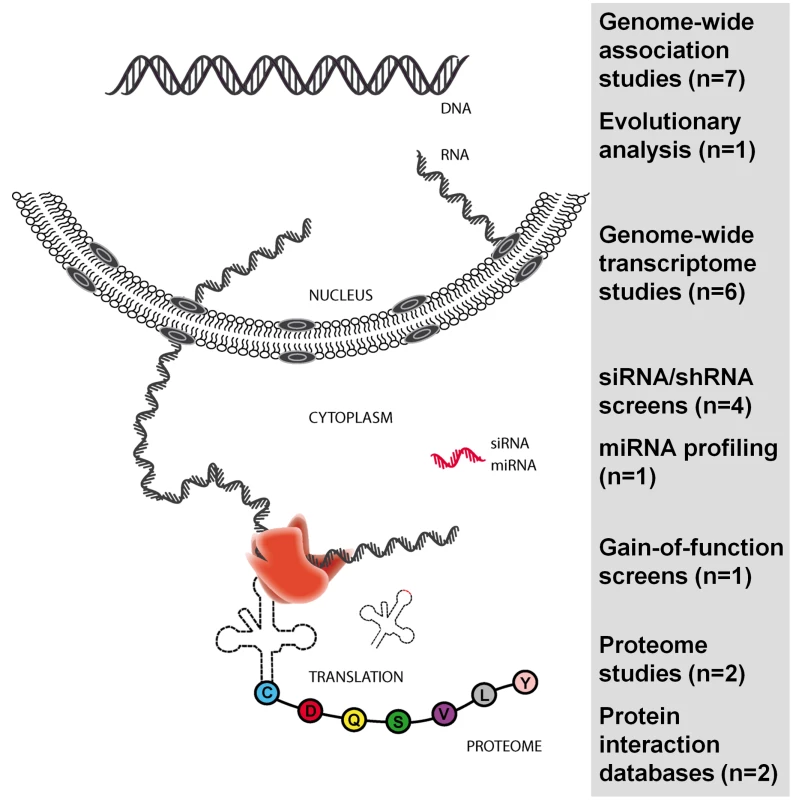 Genome-wide and large-scale studies published since 2007 in the HIV field.