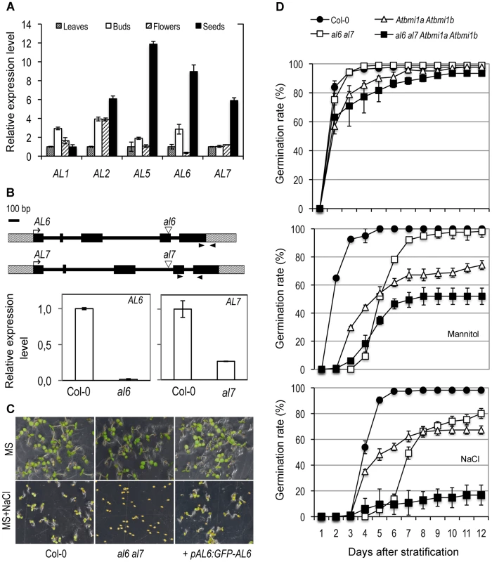 Functional characterization of <i>AL</i> genes.
