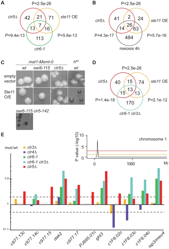 Transcription signature of <i>clr5Δ</i> mutant.