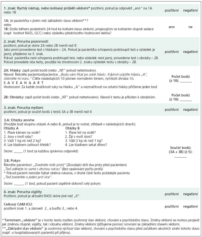 Pracovní zápis testu CAM-ICU.