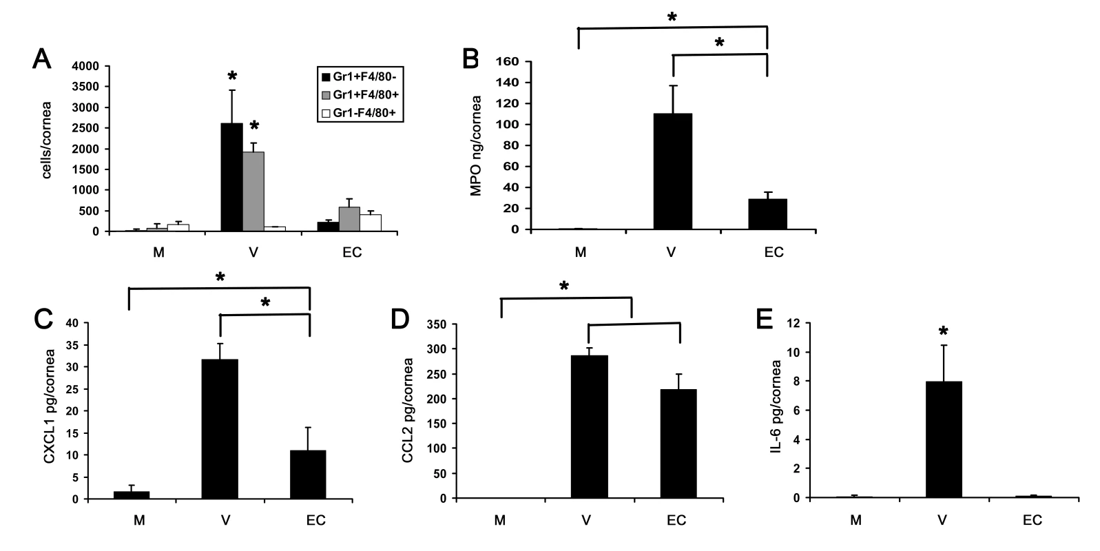 Empty viral capsid induces chemokine expression and infiltration of leukocytes into the cornea.
