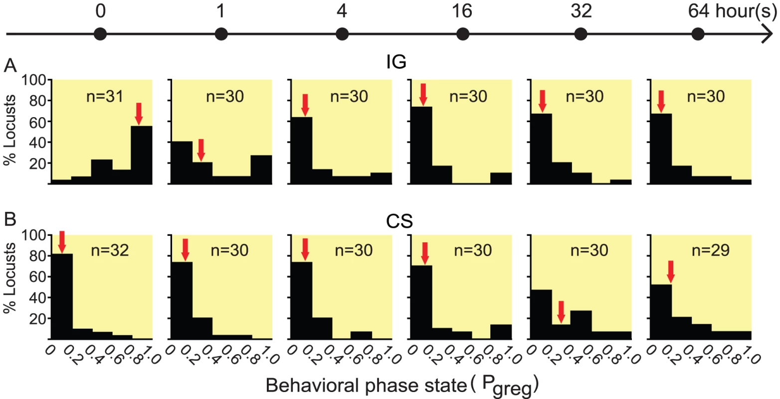 The time course of behavioral phase change in fourth-instar nymphs of <i>Locusta migratoria</i>.
