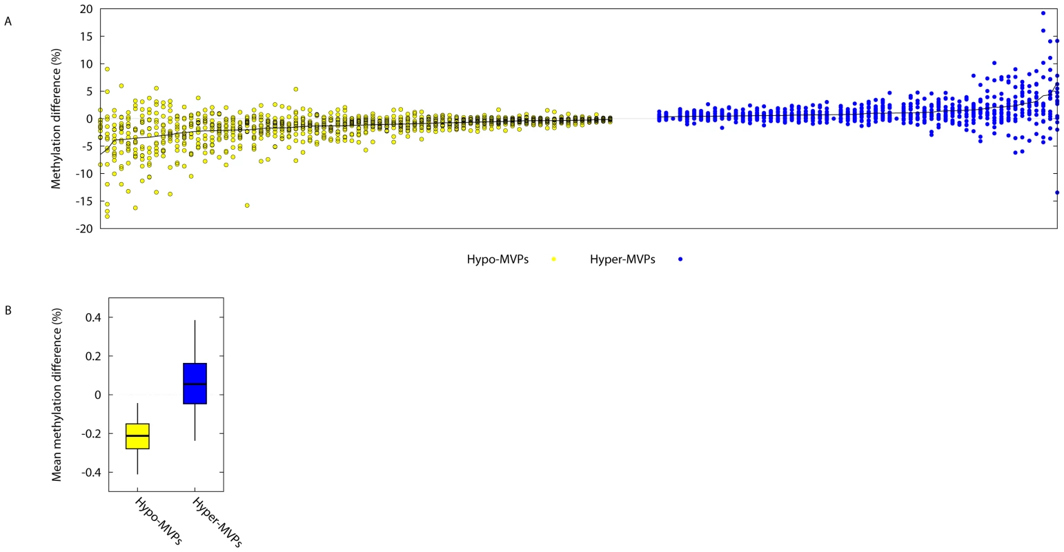 Identification of Type 1 Diabetes-associated DNA methylation variable positions (T1D–MVPs).