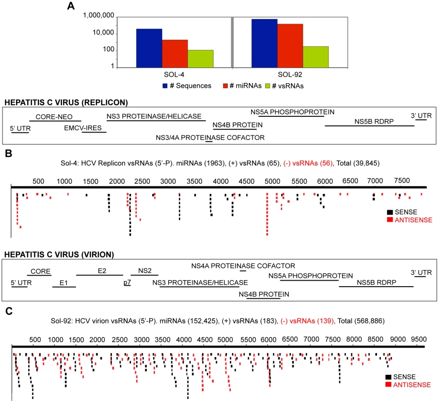 vsRNAs are detectable in different models of Hepatitis C Virus infection.