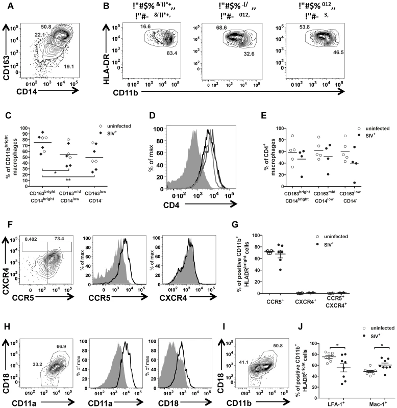 Semen macrophage phenotype.
