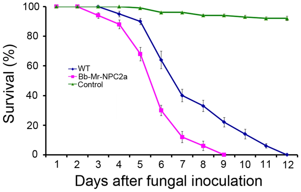 Kinetics of insect survivorship in bioassays with <i>B. bassiana</i>.