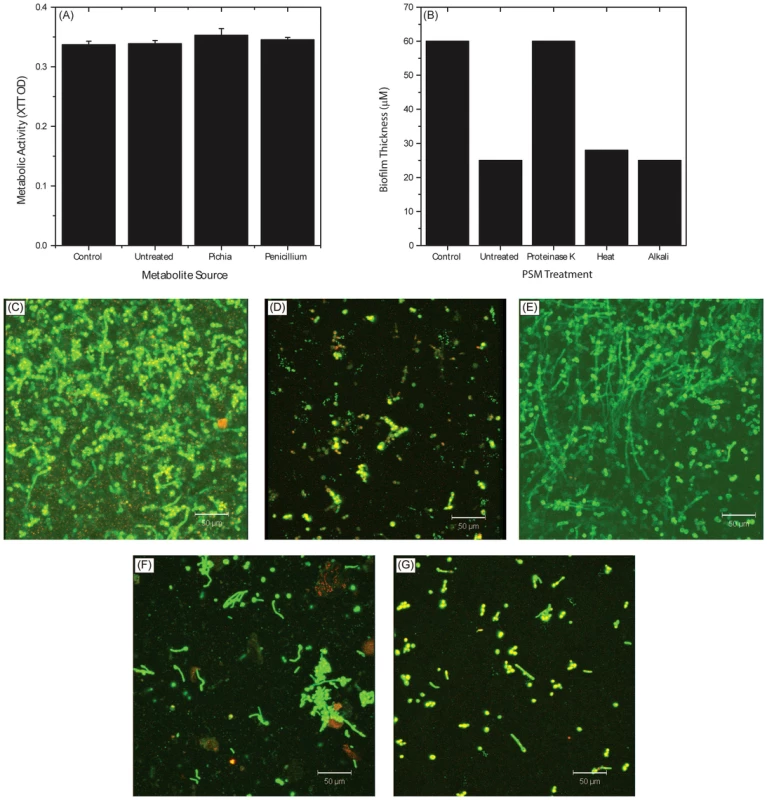 Biochemical characterization of Pichia spent medium.