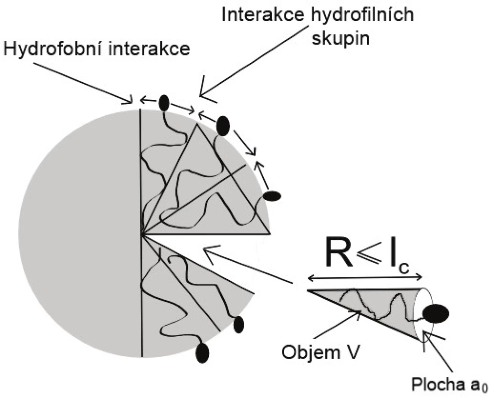Parametry amfipatické molekuly (převzato a upraveno z [8]).