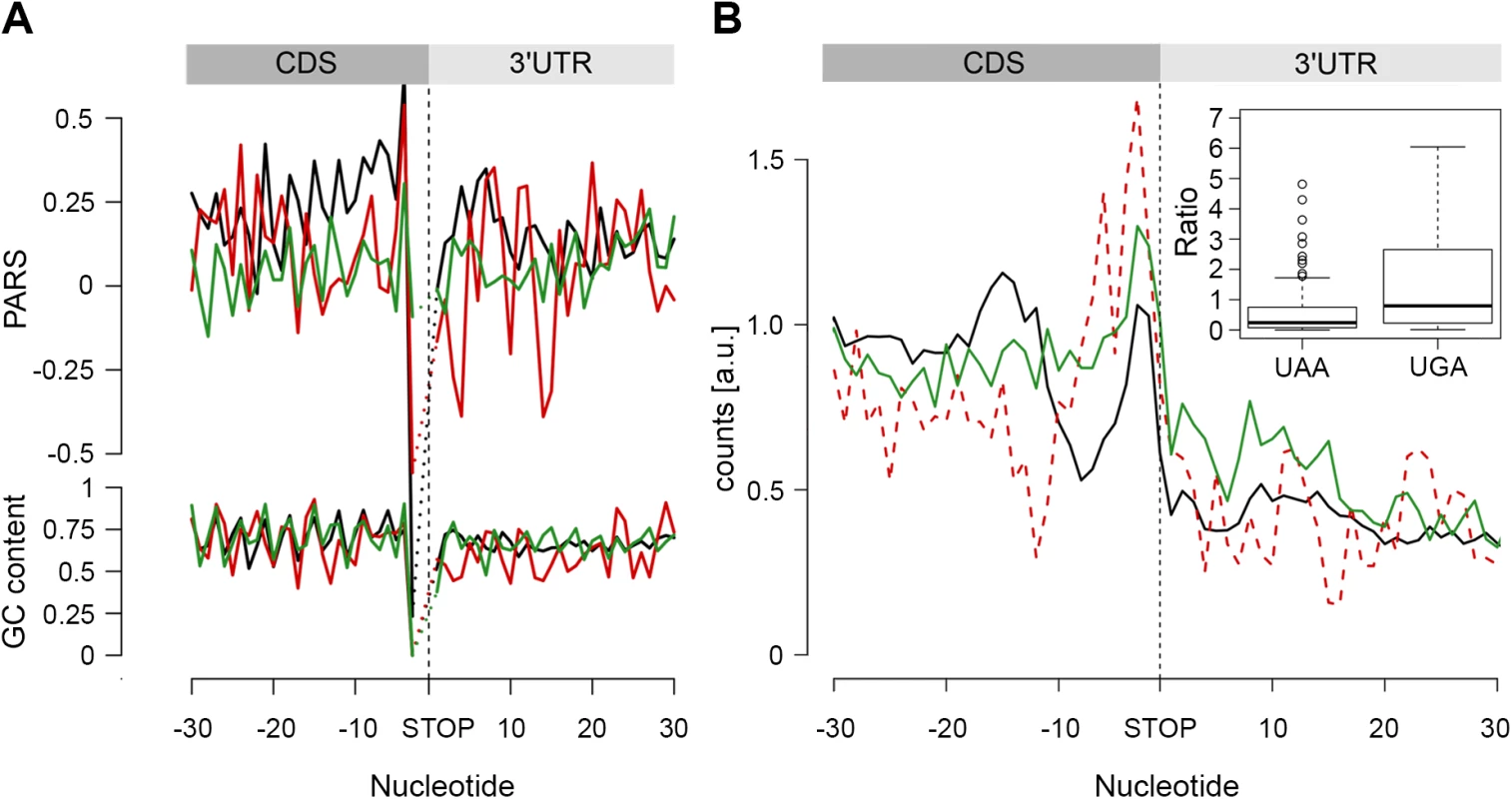 The stop codon of operon genes is more structured than non-operon genes.