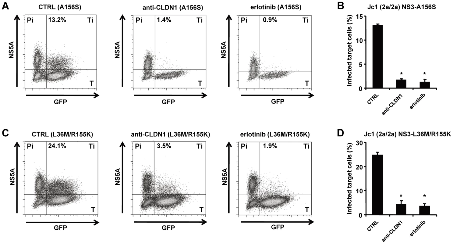HTEIs effectively block cell-cell transmission of DAA-resistant viruses.