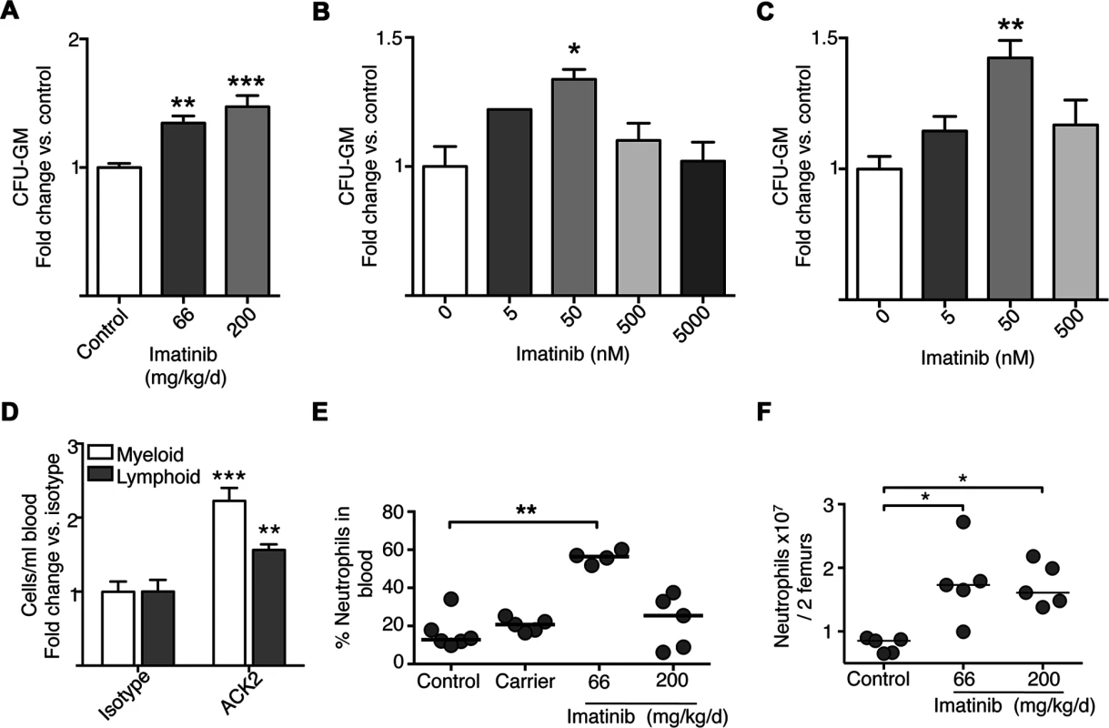 Effects of imatinib on progenitor differentiation in culture, and effects of anti-c-Kit neutralizing antibody.
