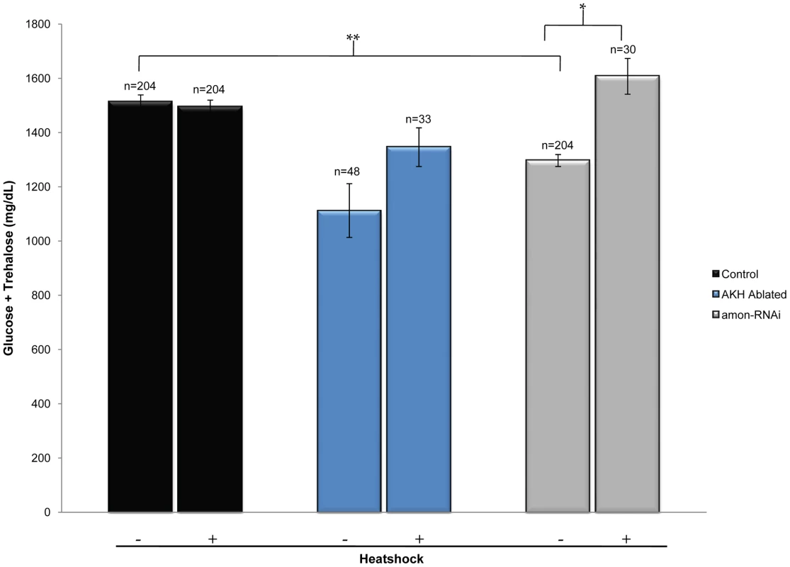 Ubiquitous expression of AKH rescues the hypoglycemic defect seen in <i>amon</i> knockdown larvae.
