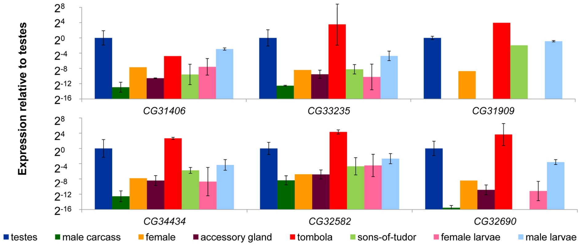 <i>De novo</i> genes exhibit male-biased and germline-dependent expression.